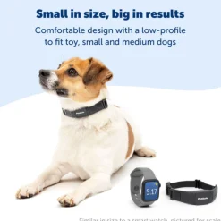 NanoBark Small Dog Collar