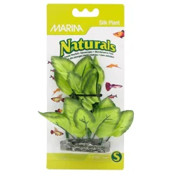 Natural Silk Plant