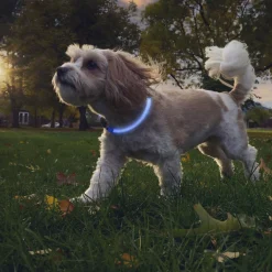 NiteHowl Rechargeable LED Blue Safety Necklace