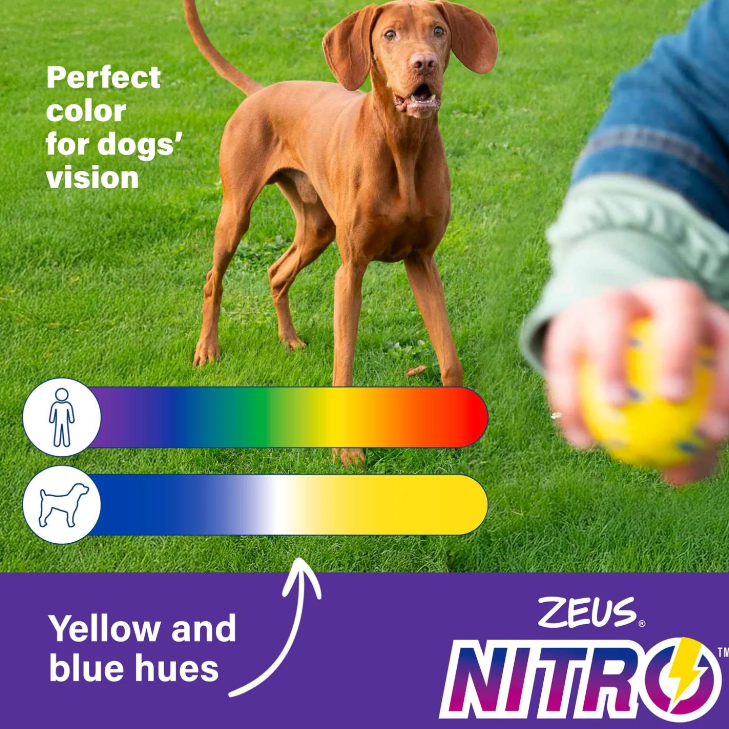NITRO Bendy Bone Dog Toy