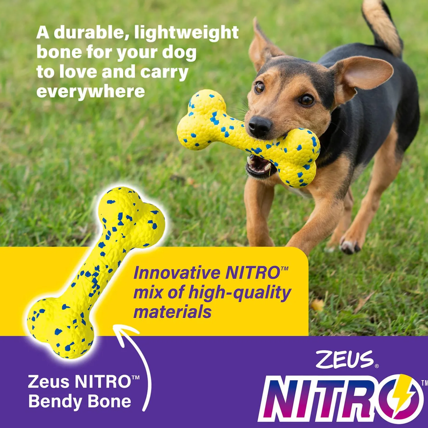 NITRO Bendy Bone Dog Toy