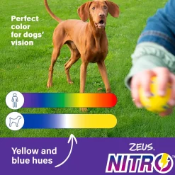 NITRO Weighted Buoy with Rope Dog Toy