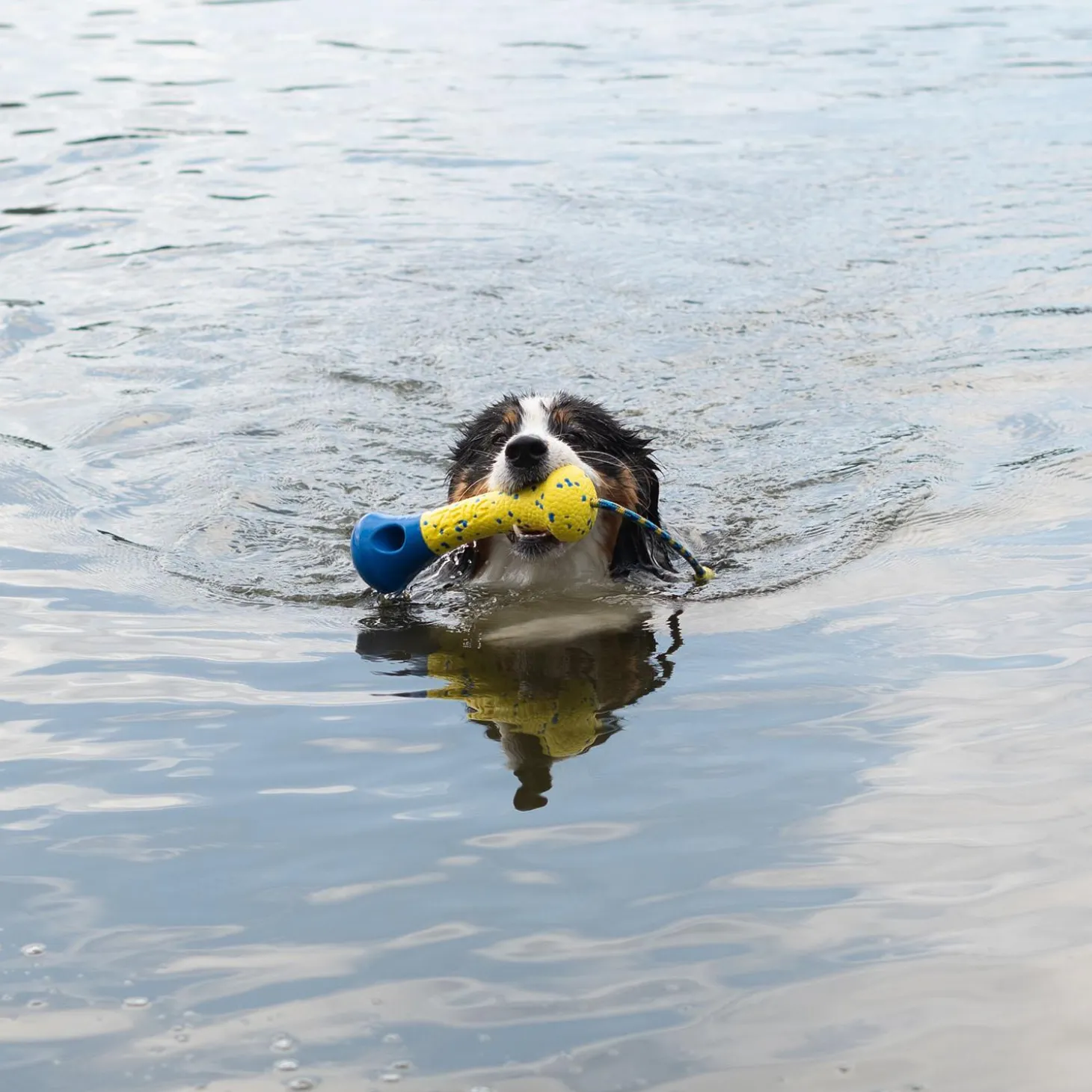 NITRO Weighted Buoy with Rope Dog Toy