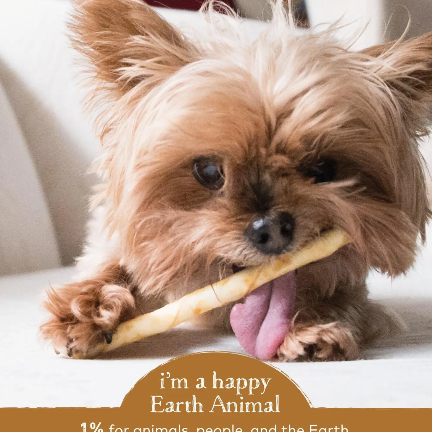 No-Hide Grass-Fed Venison Stix Natural Rawhide Alternative Dog & Cat Chew