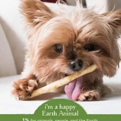 No-Hide Humanely-Raised Pork Stix Natural Rawhide Alternative Dog & Cat Chew