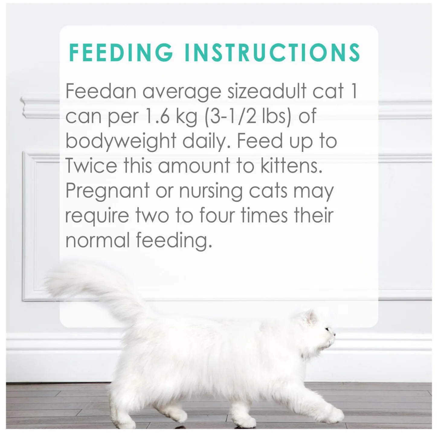 Ocean Whitefish & Tuna Feast Pate Adult Cat Food