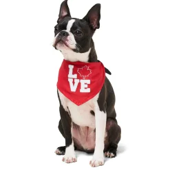 Oh Canada Love Dog Bandana