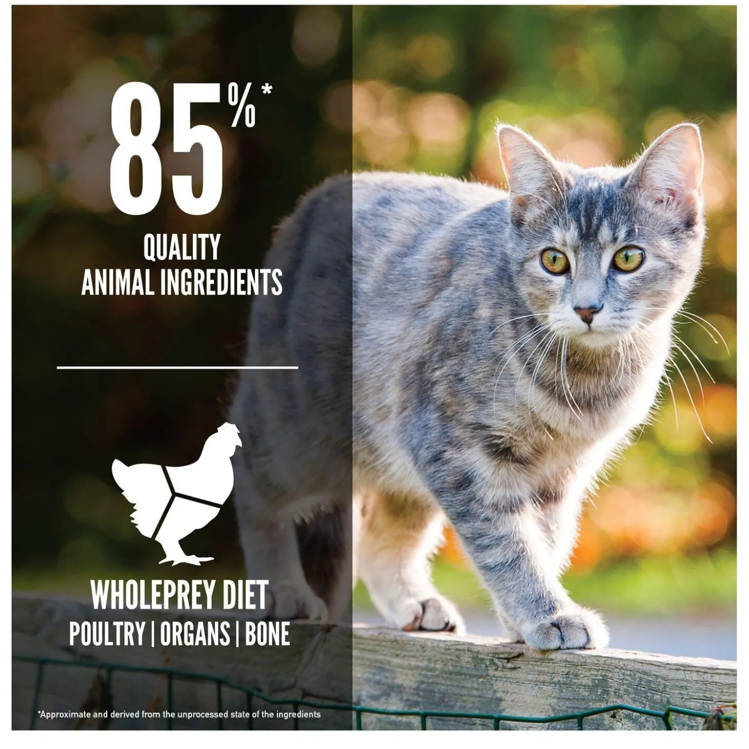 Original Cat Food