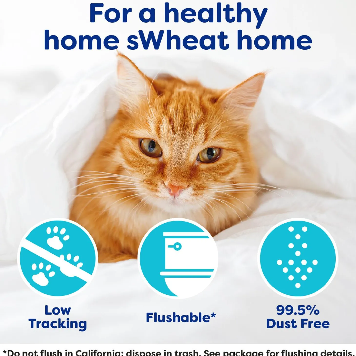 Original Fast-Clumping Cat Litter
