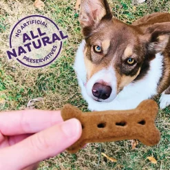 Original Mix Large Dog Treats