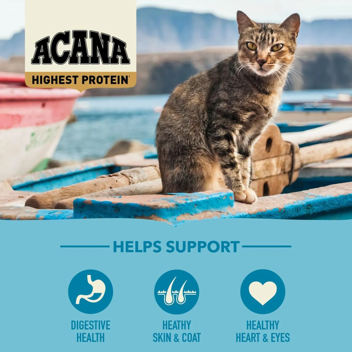 Pacifica Cat Food