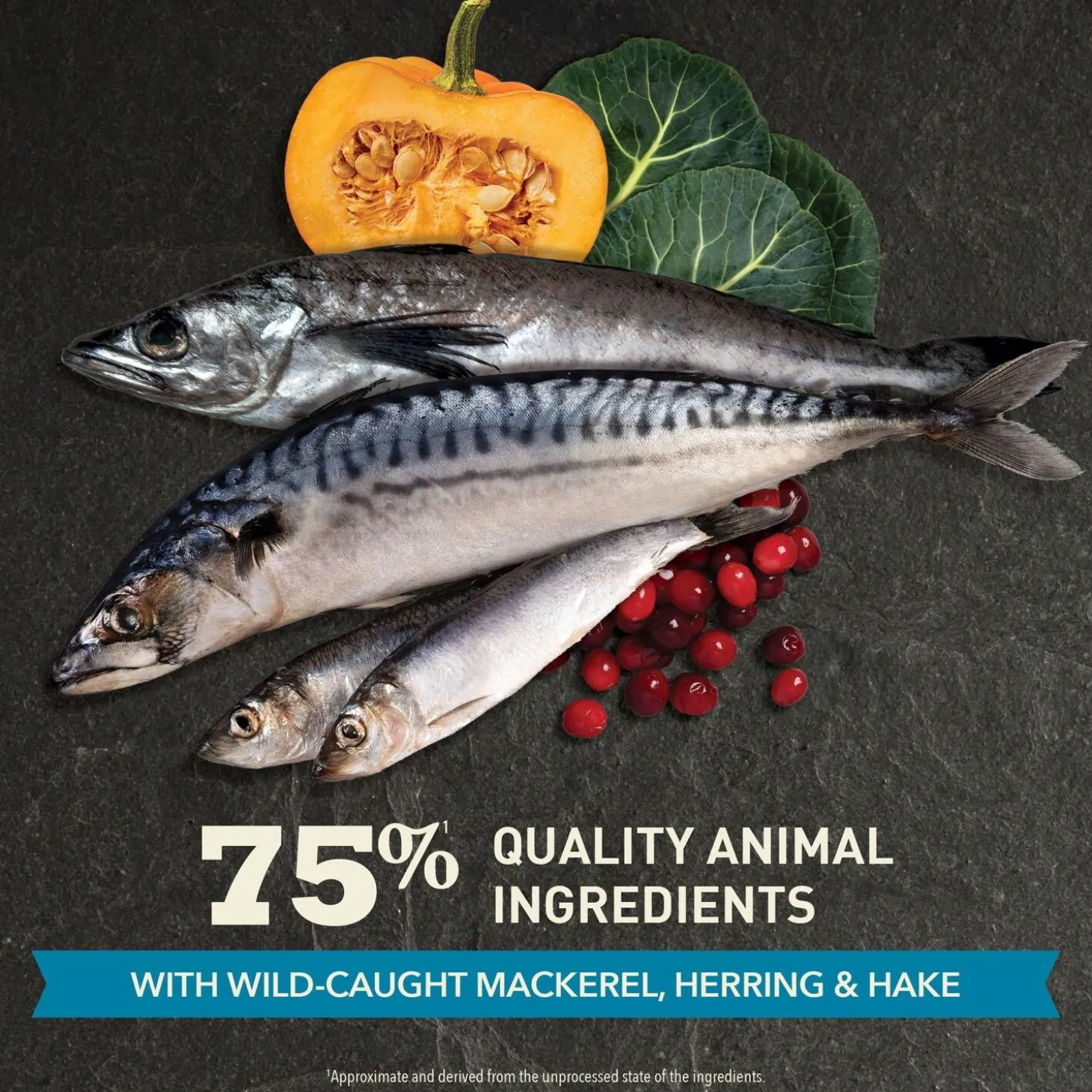 Pacifica Cat Food