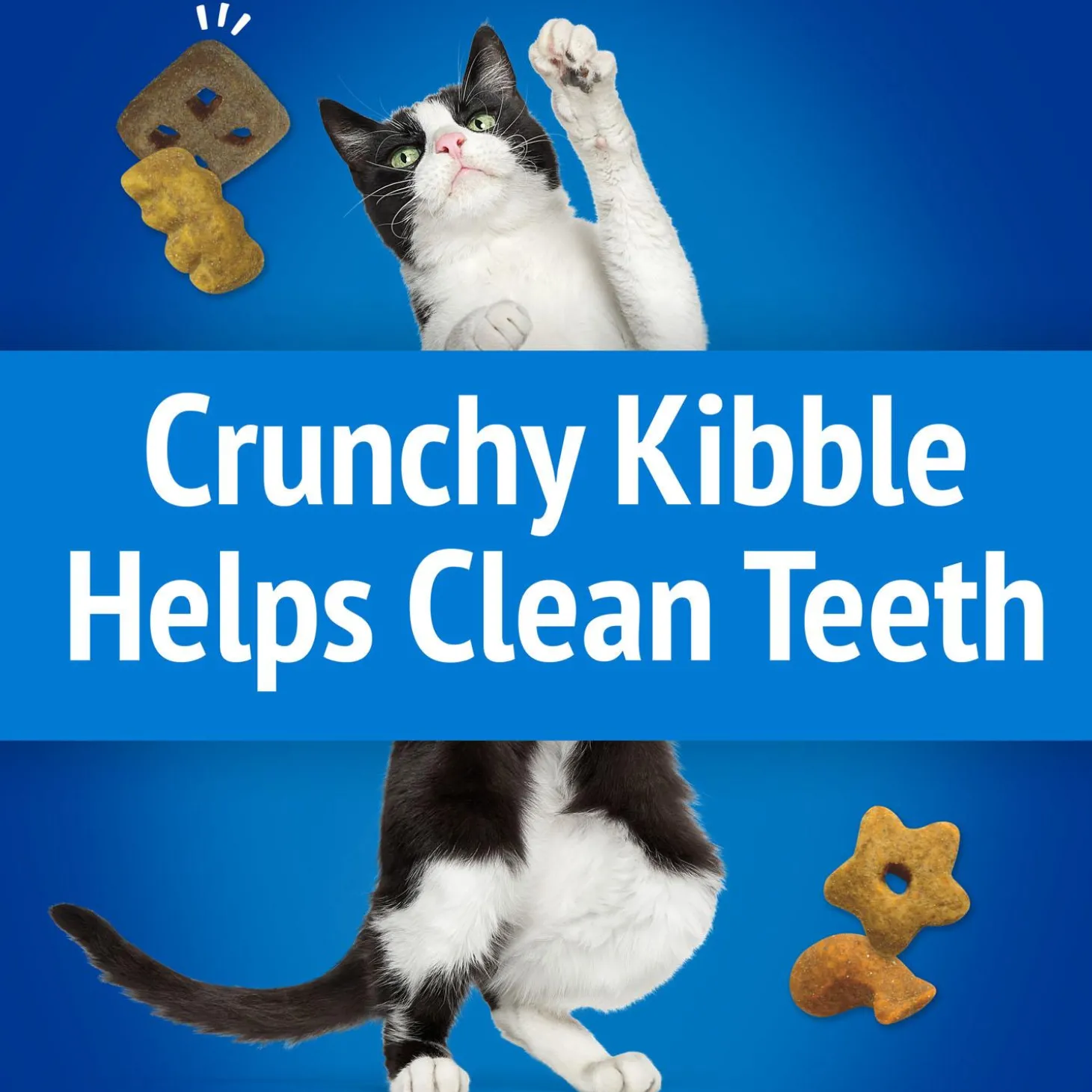Party Mix Ocean Crunch Cat Treats