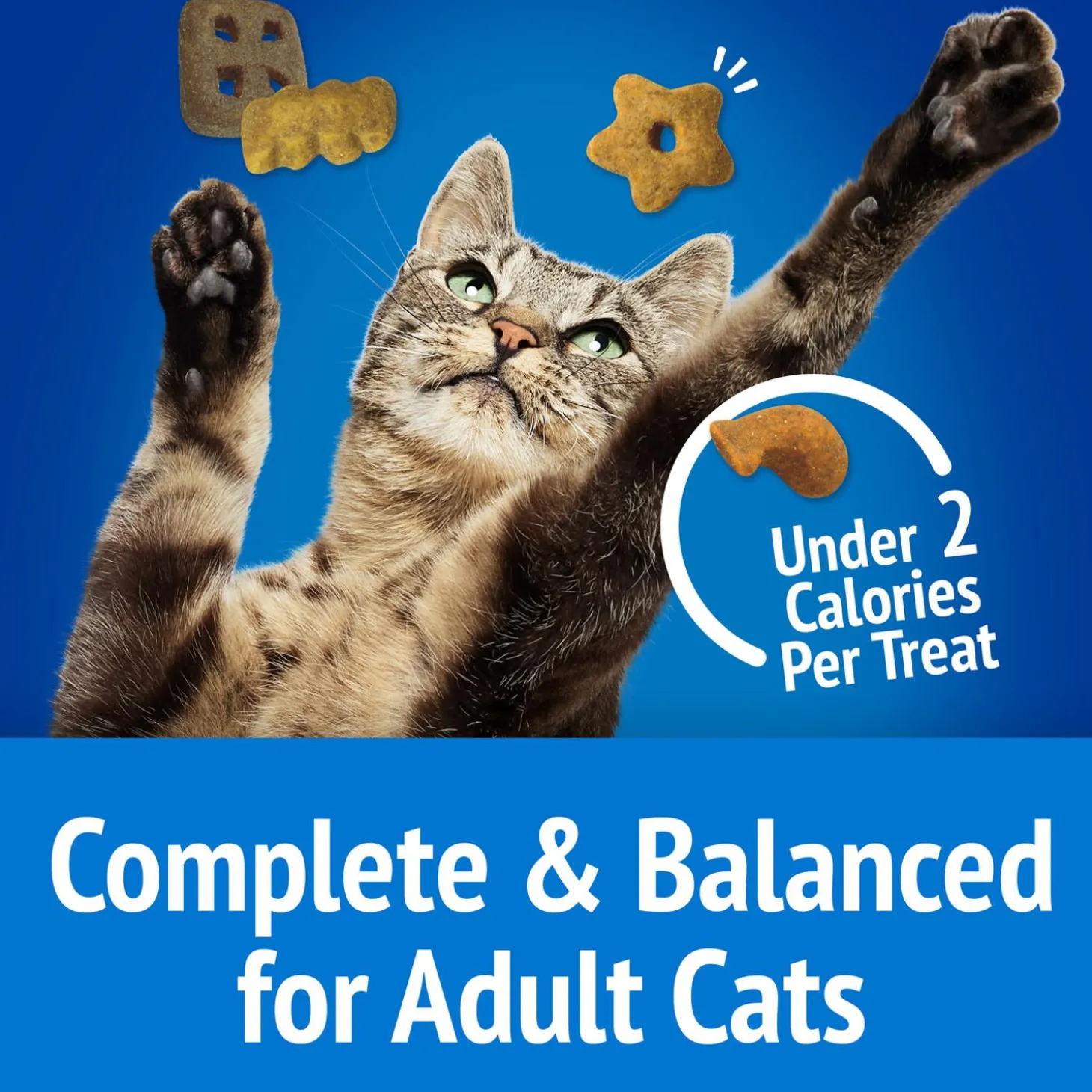 Party Mix Ocean Crunch Cat Treats