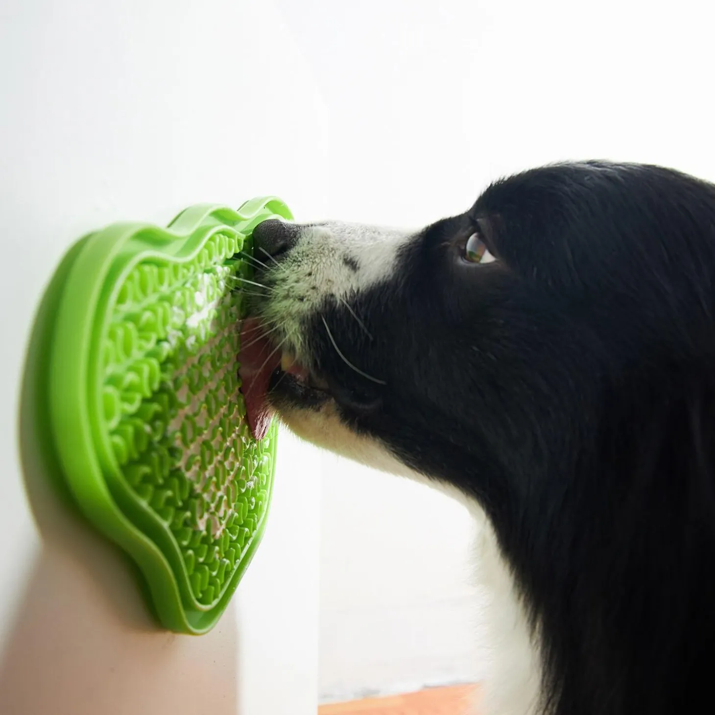 PAW Lick Pad Green