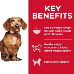 Perfect Weight Small & Mini Chicken Recipe Adult Dog Food