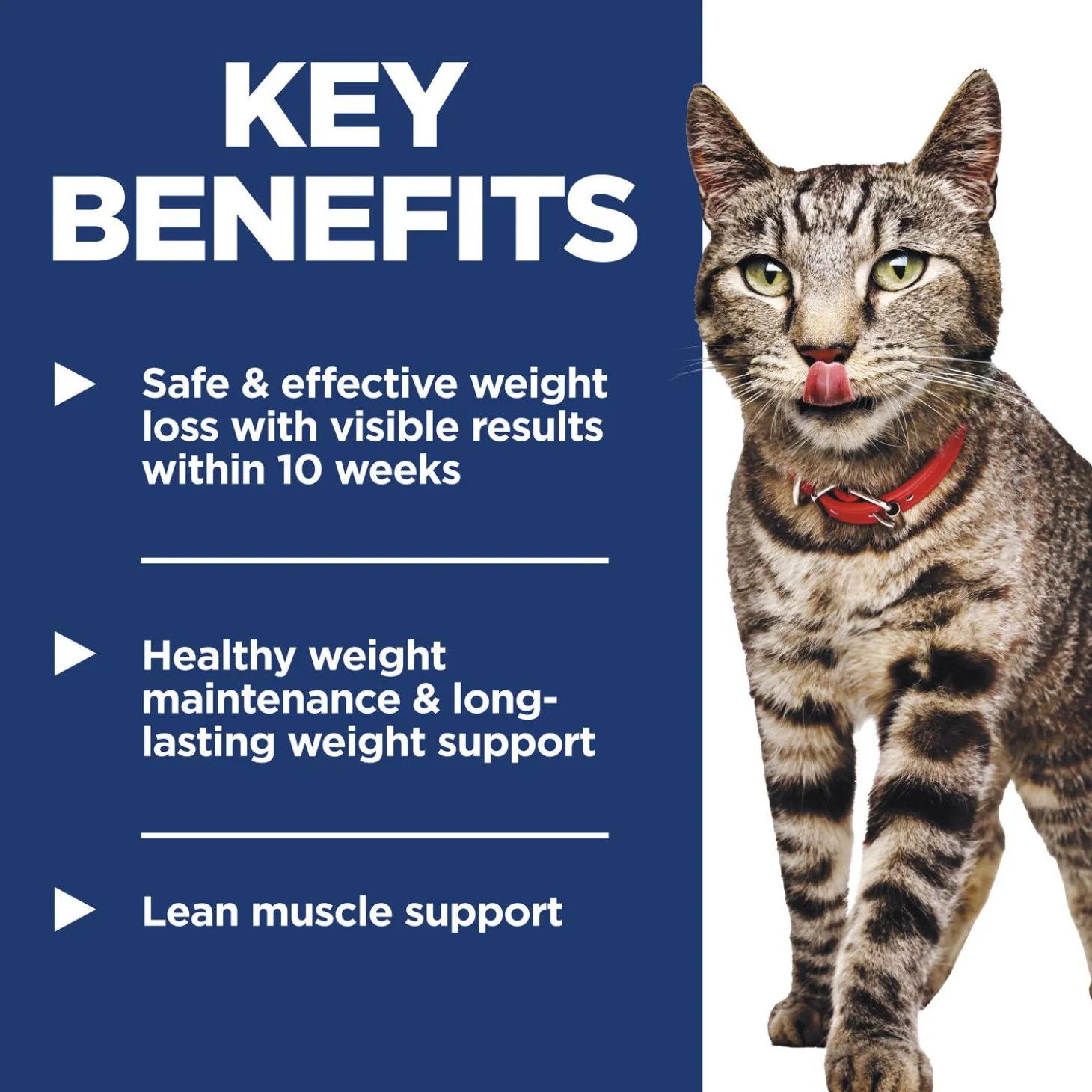 Perfect Weight Vegetables & Chicken Stew Adult Cat Food
