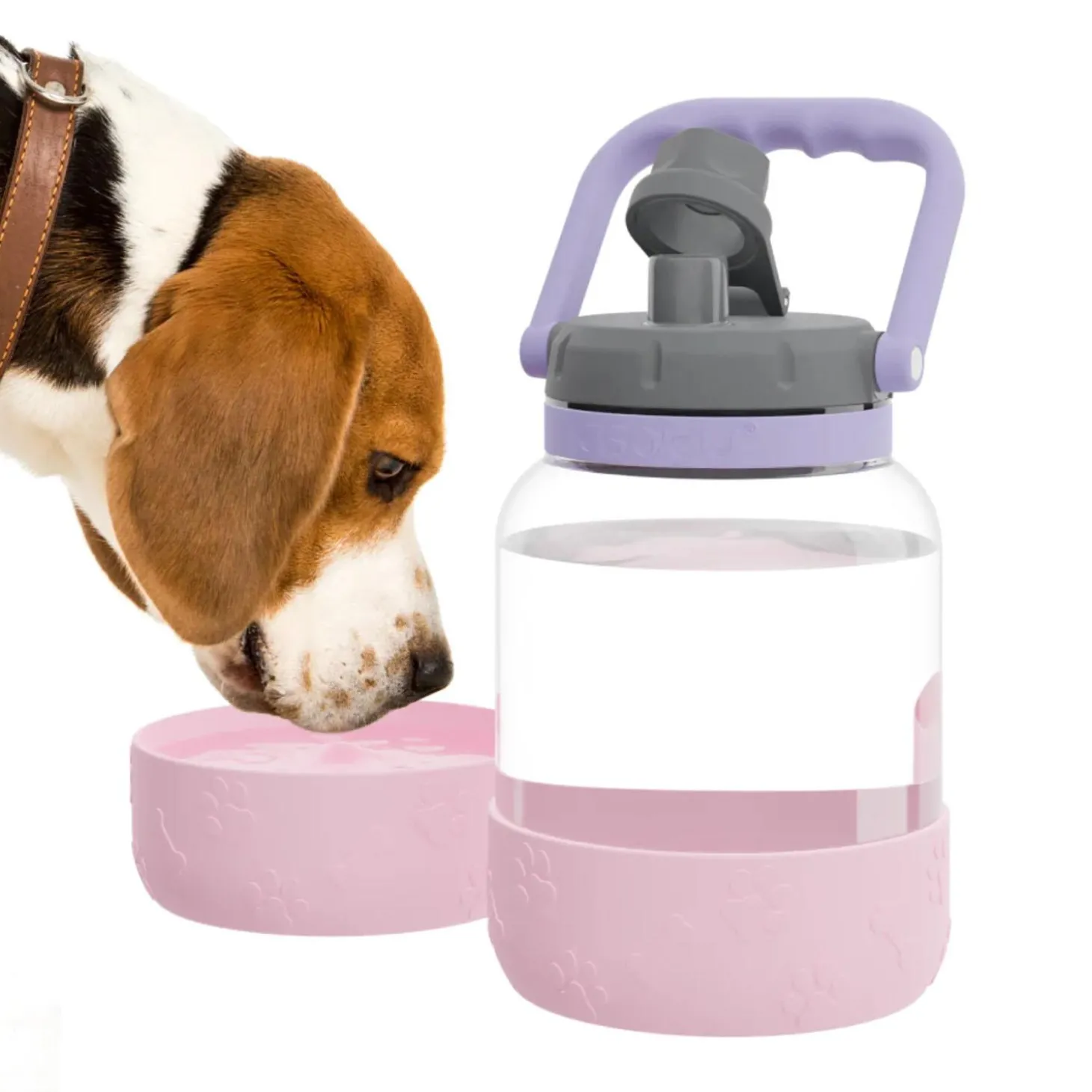 Pink Barkley Bottle