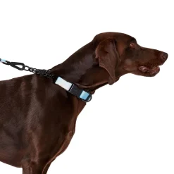 Pink Tie Dye Dog Leash