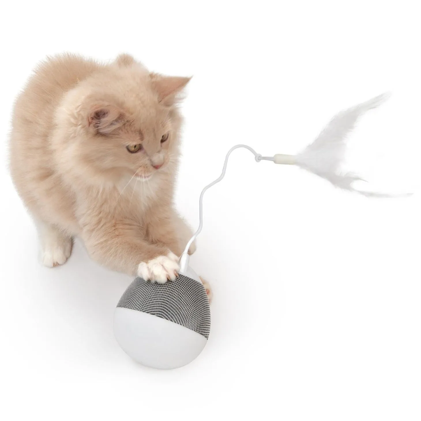 PIXI Spinner Cat Toy