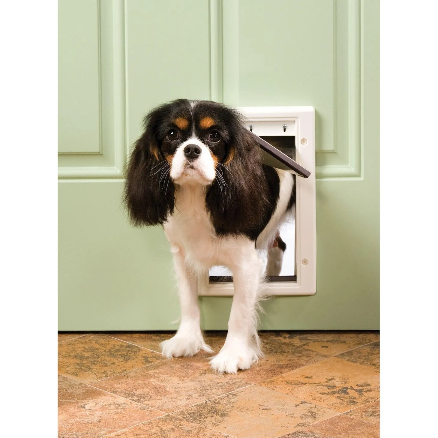 Plastic Pet Door