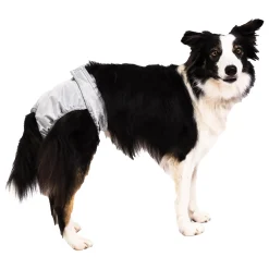 PoochPants Reusable Diaper