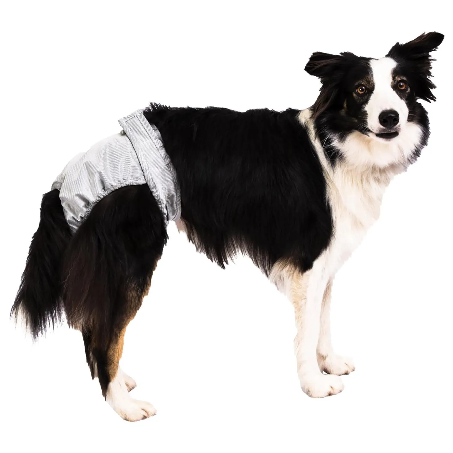 PoochPants Reusable Diaper