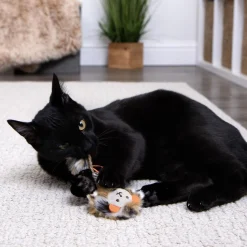 Prideful Player Cat Toy