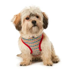 Pride Harness Rainbow