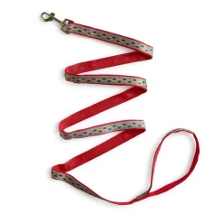 Pride Leash 1in Rainbow