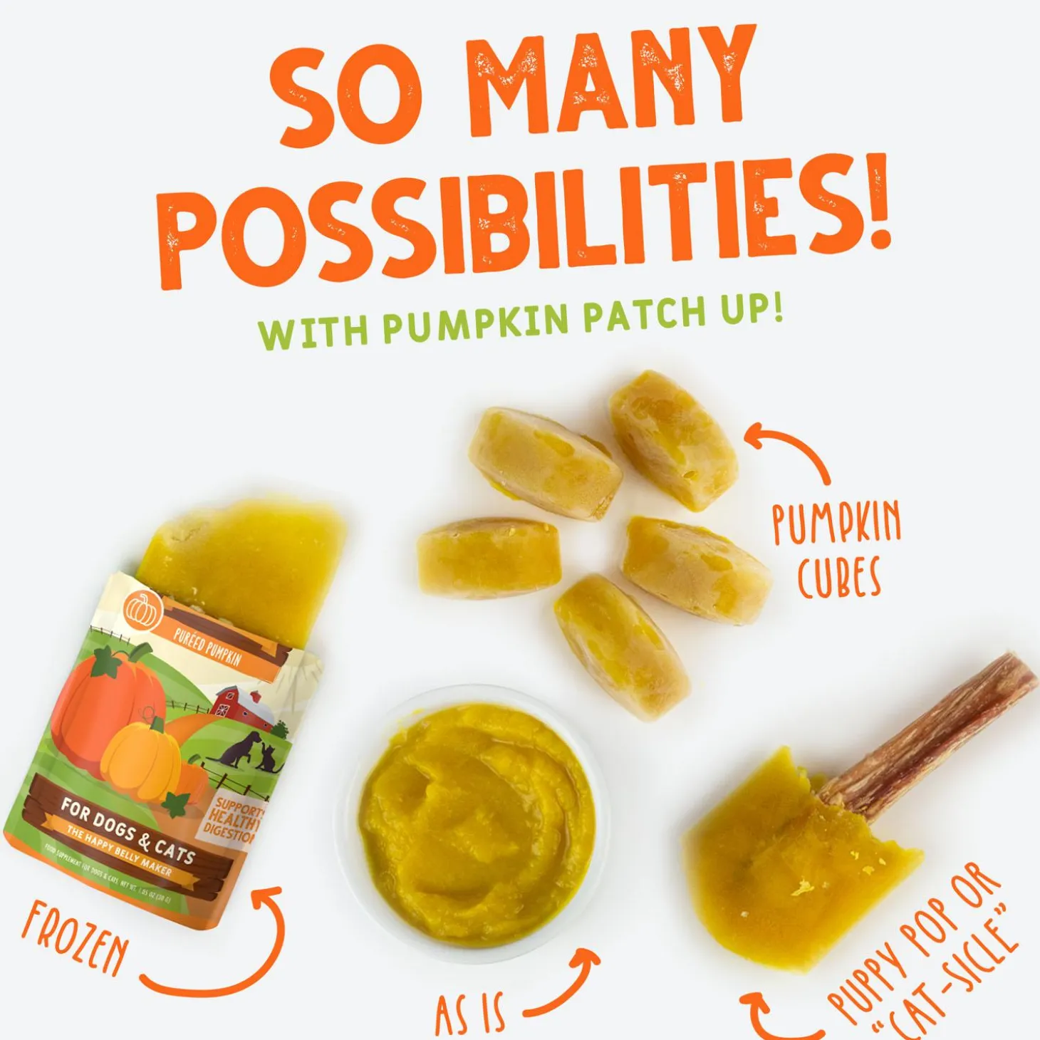 Pumpkin Patch Up! Pumpkin with Ginger & Turmeric for Dogs & Cats