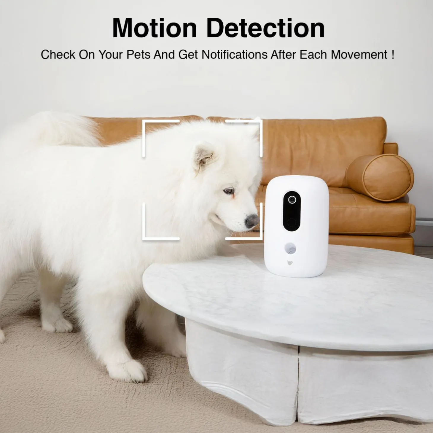 Purechew Snack Automatic Pet Treat Dispenser