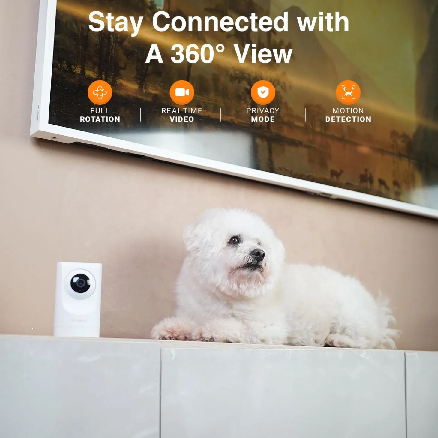 Purrsight 360 HD Pet Camera