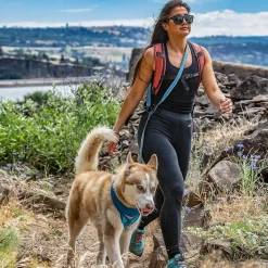 Quantum 1in Blue Dog Leash