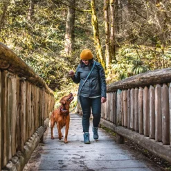 Quantum 1in Orange Dog Leash