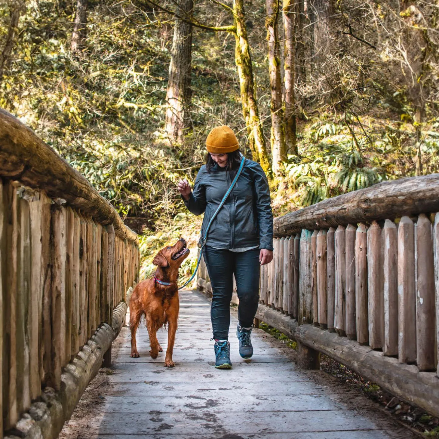 Quantum 1in Orange Dog Leash