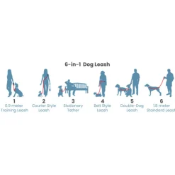 Quantum 1in Orange Dog Leash