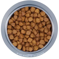 Ragdoll Adult Cat Food