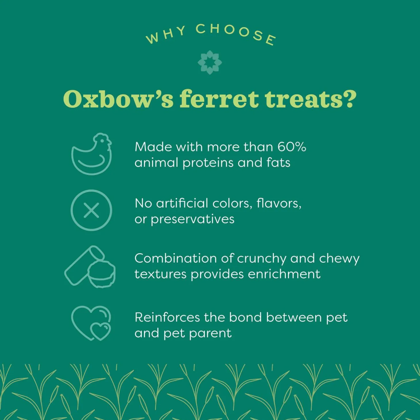 Real Prey Rewards Turkey Flavour Ferret Treats