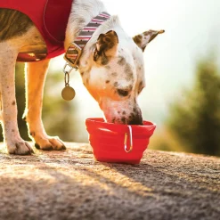 Red Collaps-A-Bowl