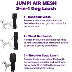 Reflective Mesh Blue Dog Leash