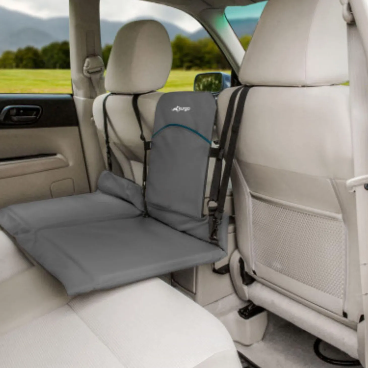 Rover Black Backseat Bridge