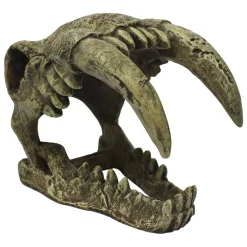 Saber Tooth Tiger