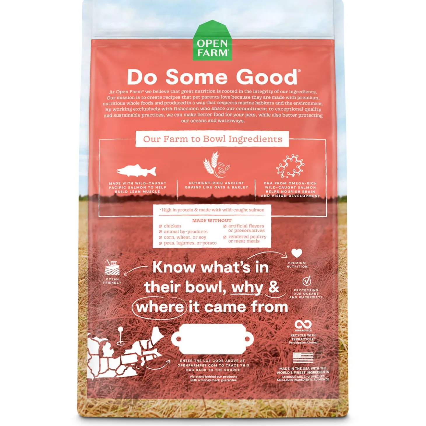 Salmon & Ancient Grains Recipe Puppy Dog Food