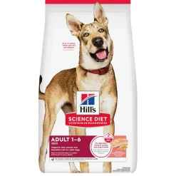Salmon & Brown Rice Recipe Adult Dog Food