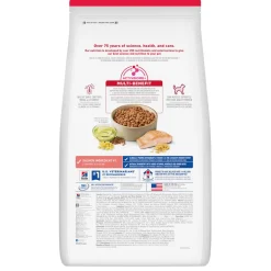 Salmon & Brown Rice Recipe Adult Dog Food