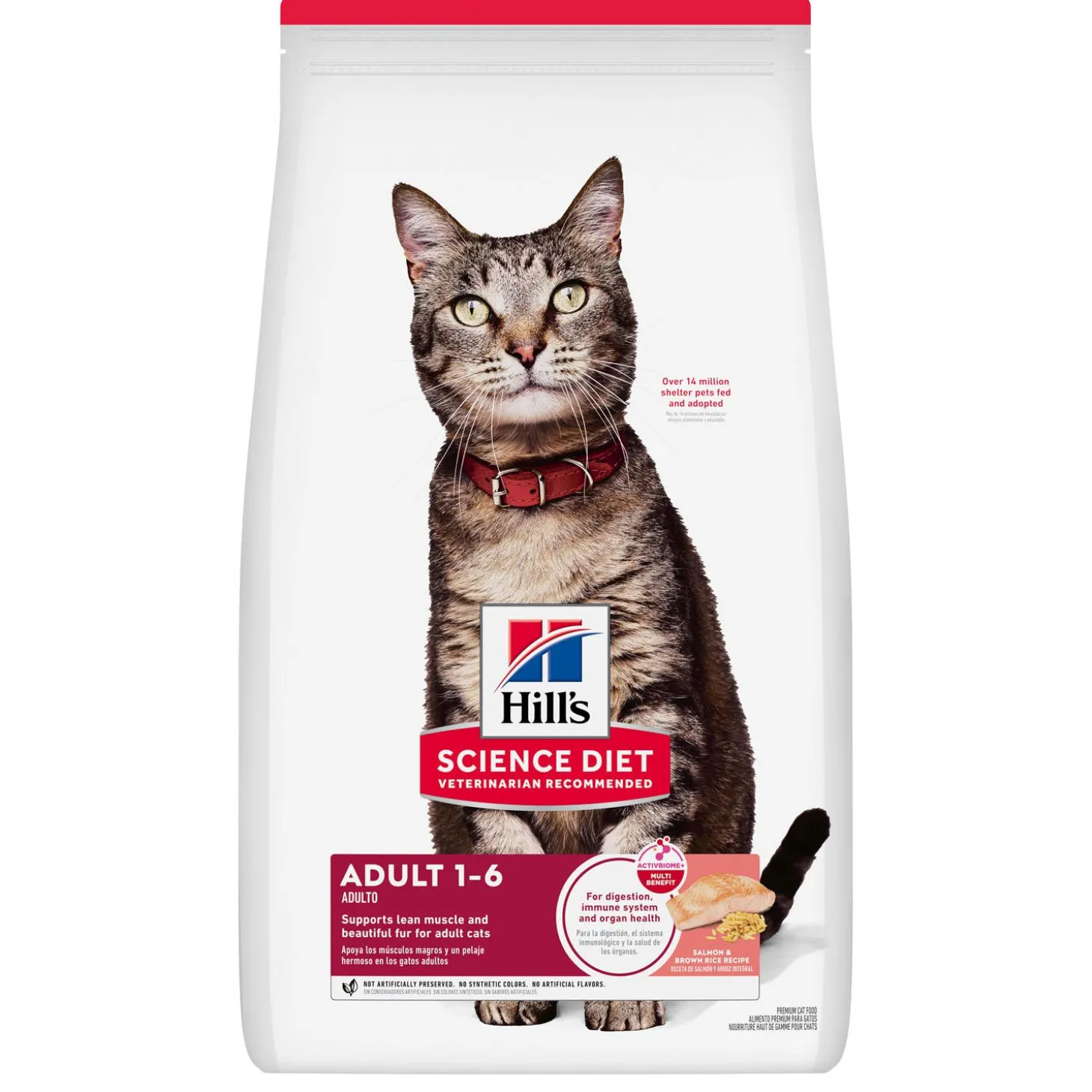 Salmon & Brown Rice Recipe Adult Cat Food