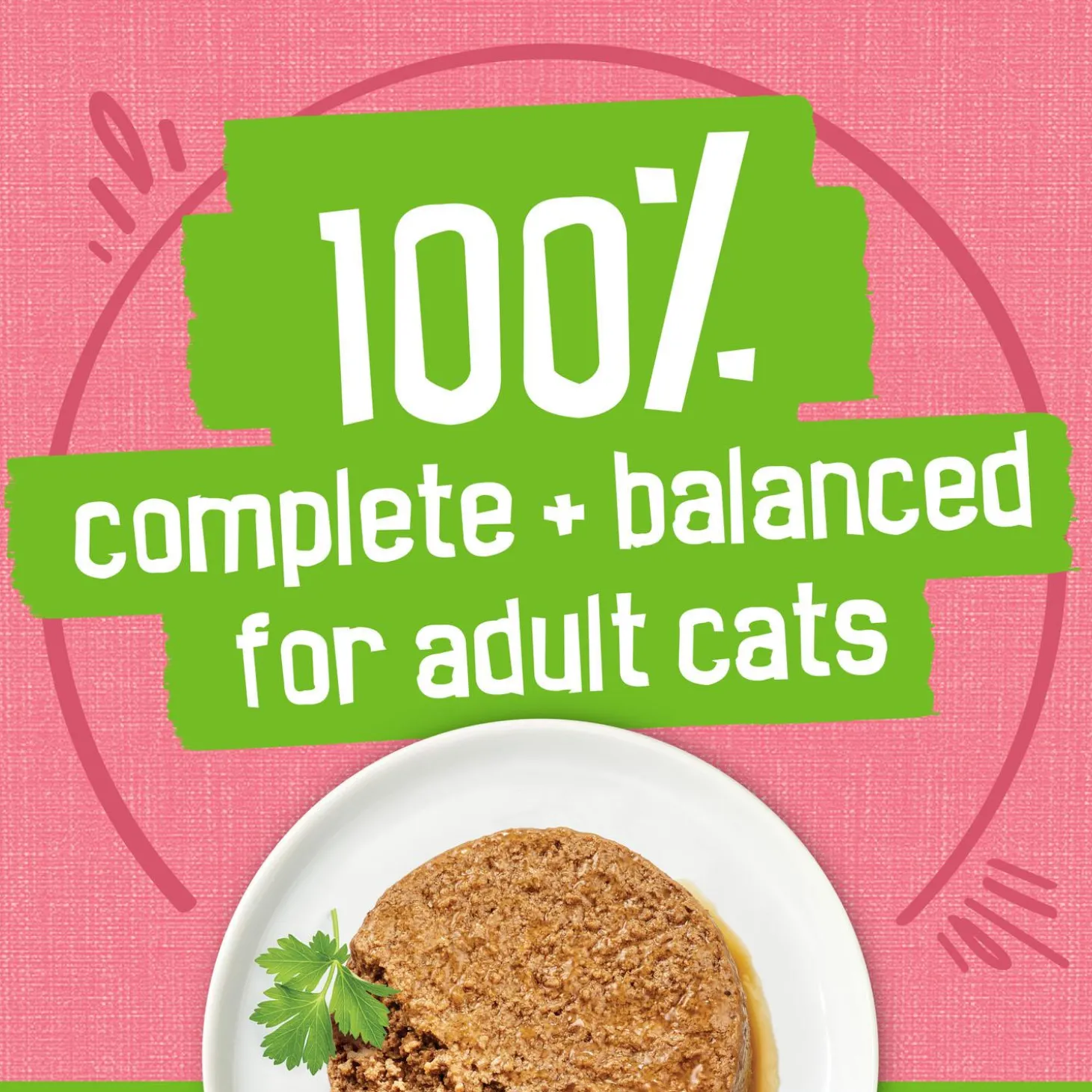 Salmon Dinner Pate Cat Food