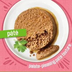 Salmon Dinner Pate Cat Food