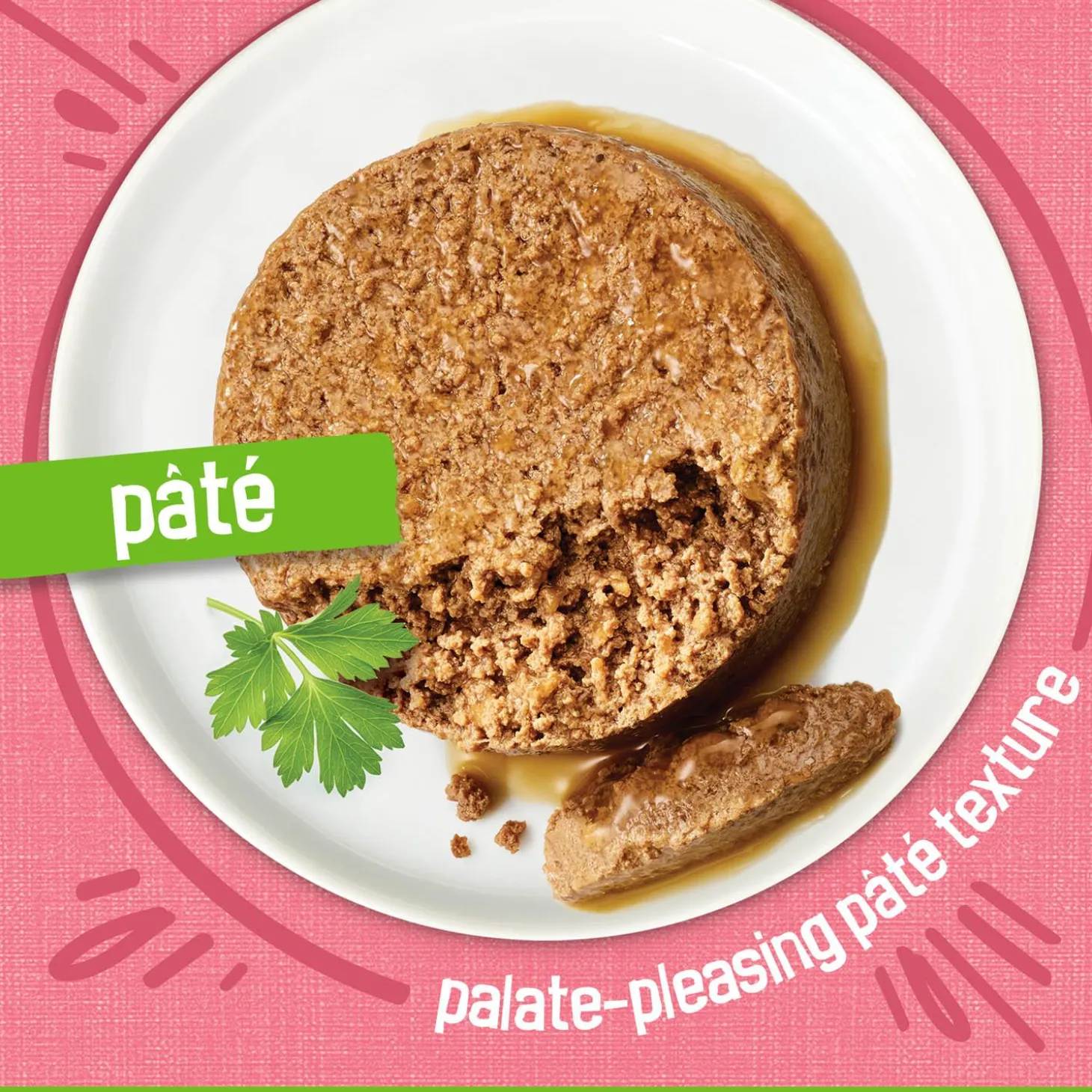 Salmon Dinner Pate Cat Food